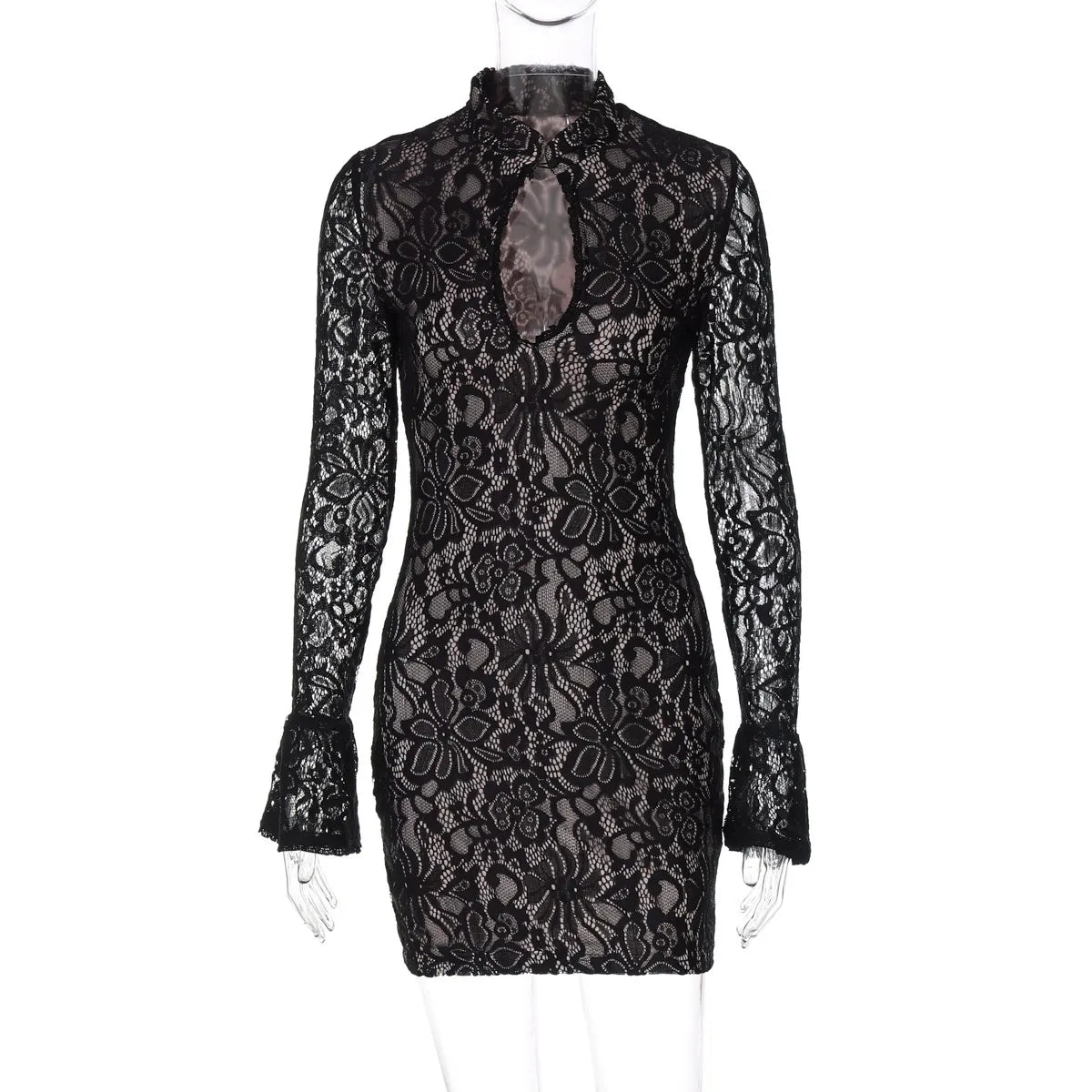 Brianna Lace Mini Dress