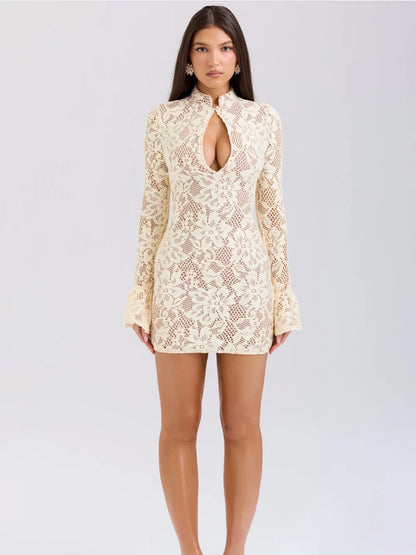 Brianna Lace Mini Dress