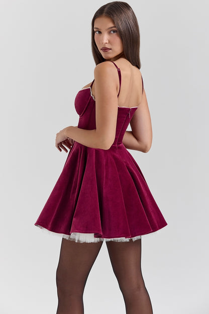 Selica Velvet Mini Dress