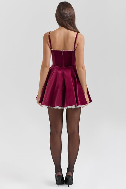 Selica Velvet Mini Dress