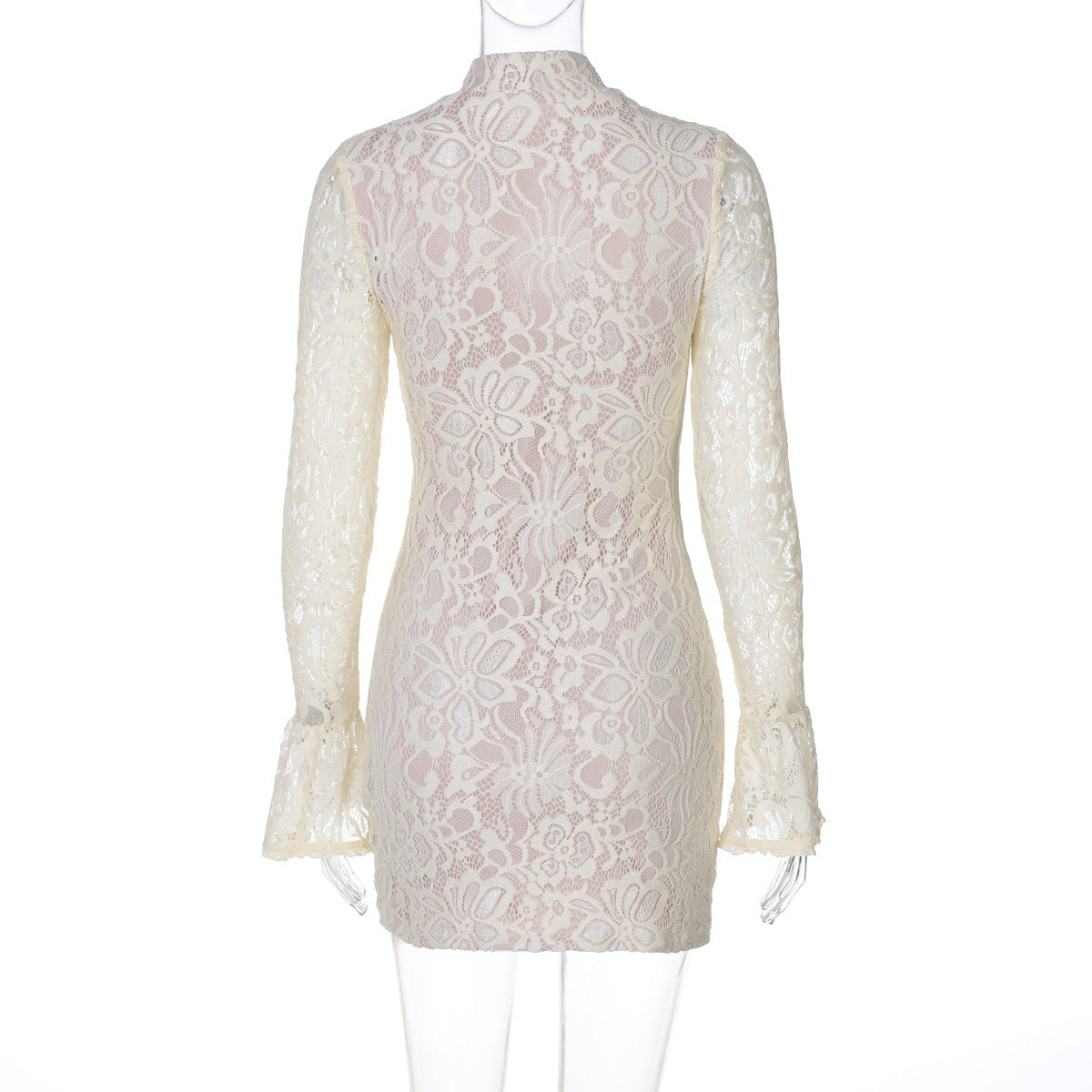 Brianna Lace Mini Dress