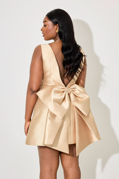 Siren Mini Dress